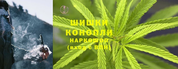 спиды Вяземский