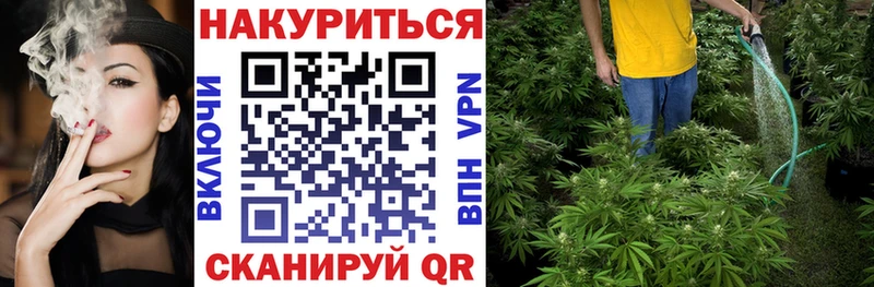 блэк спрут ссылки  Архангельск  Канабис план 